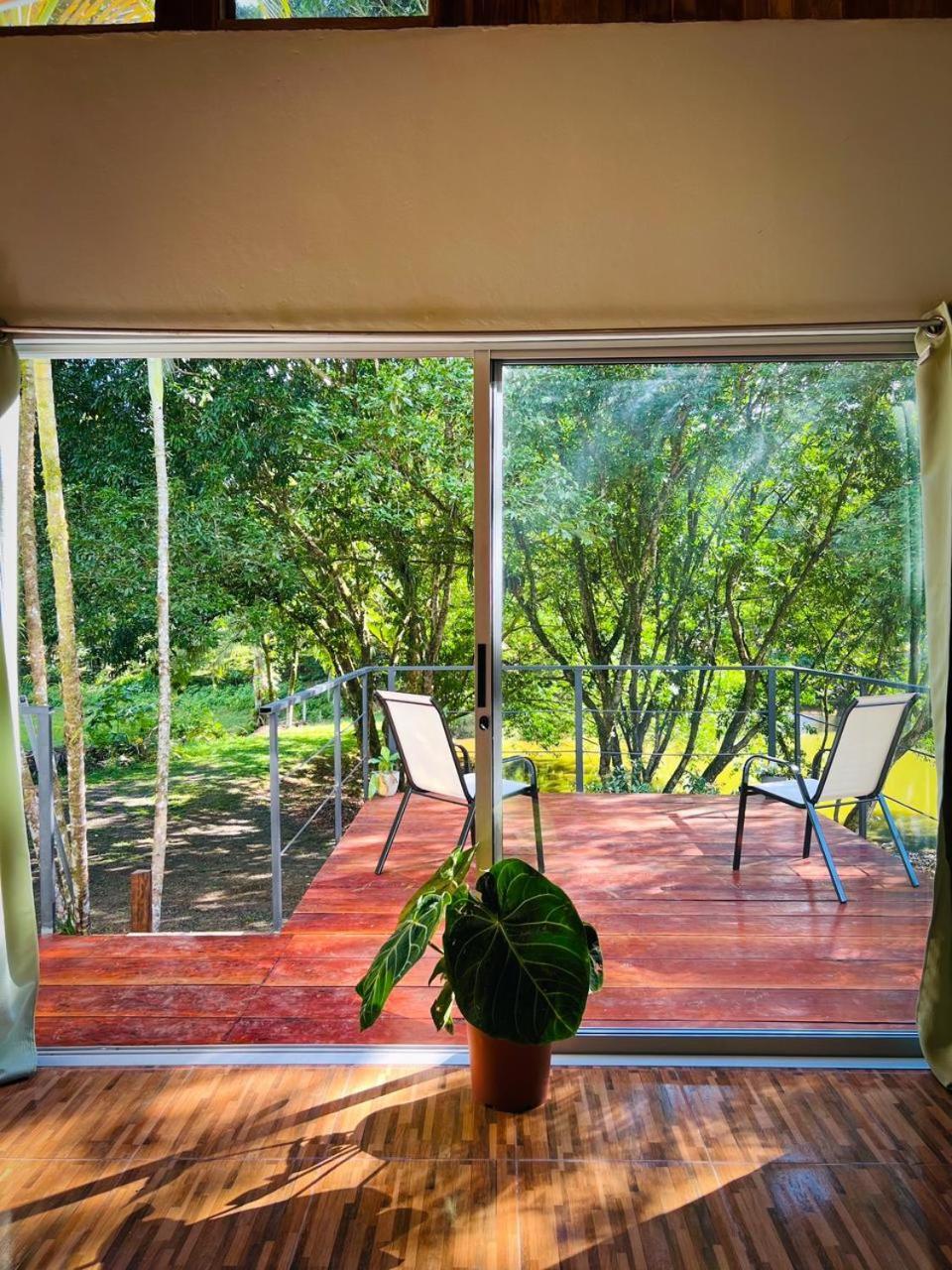 Apartament Ficus House Boca Tapada Zewnętrze zdjęcie