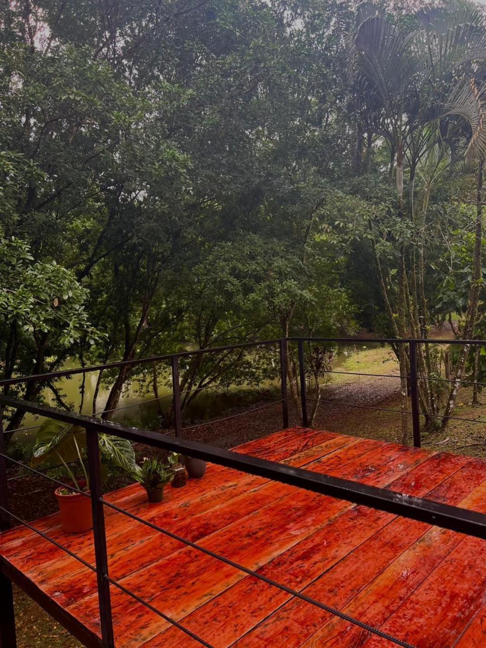 Apartament Ficus House Boca Tapada Zewnętrze zdjęcie