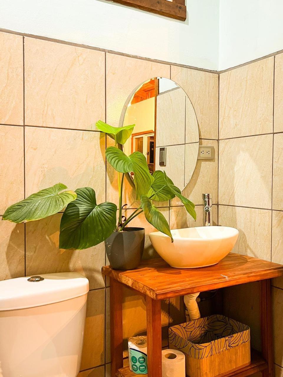 Apartament Ficus House Boca Tapada Zewnętrze zdjęcie